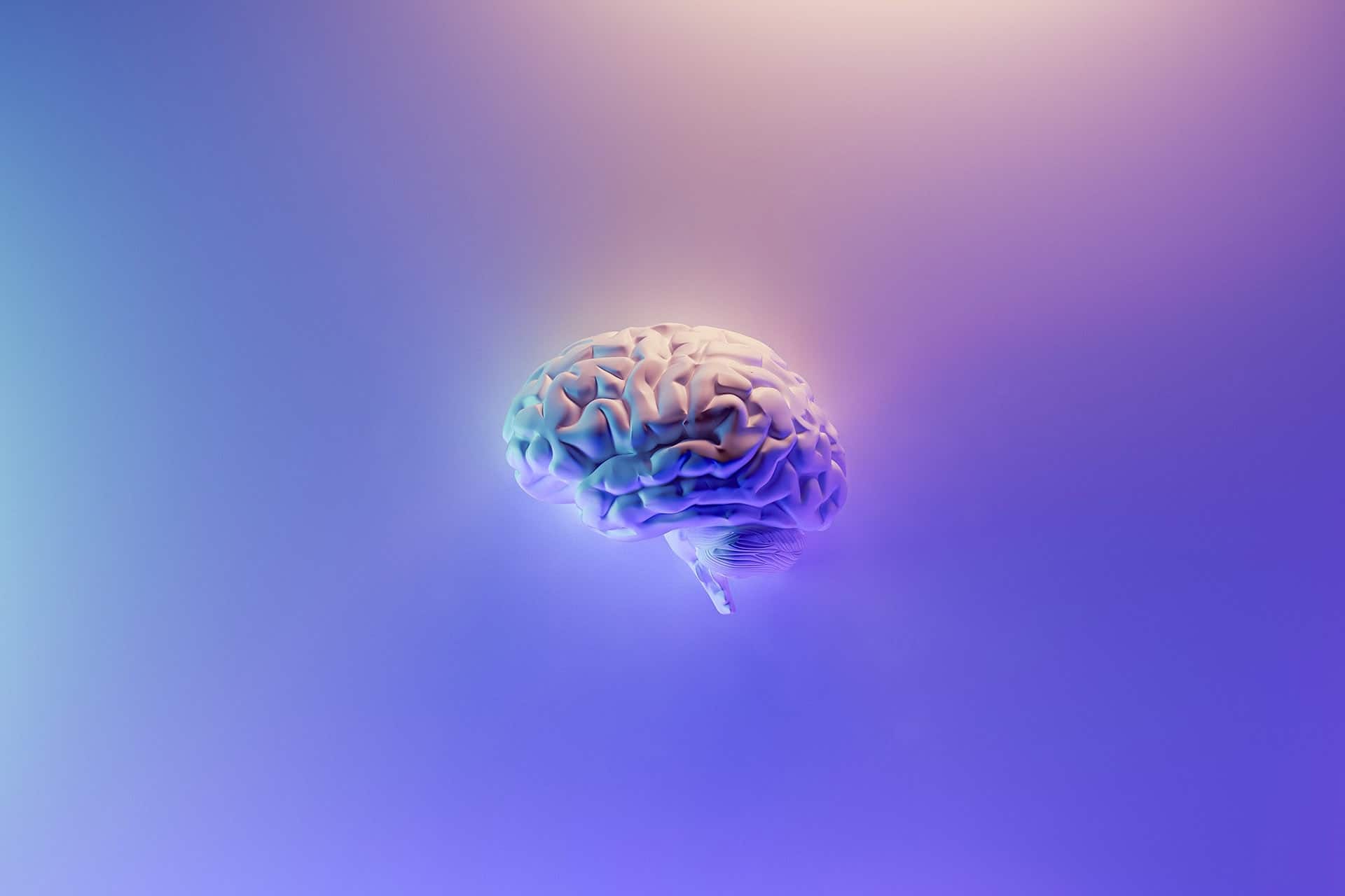 7-proven-study-techniques-for-online-learners
